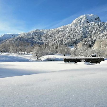 Chalet Des Cascades Le Mont-Dore Luaran gambar