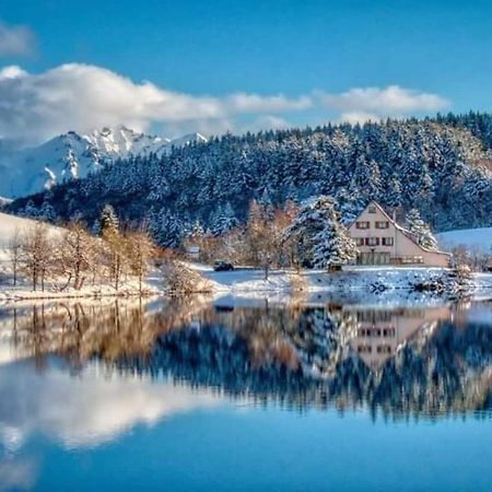 Chalet Des Cascades Le Mont-Dore Luaran gambar