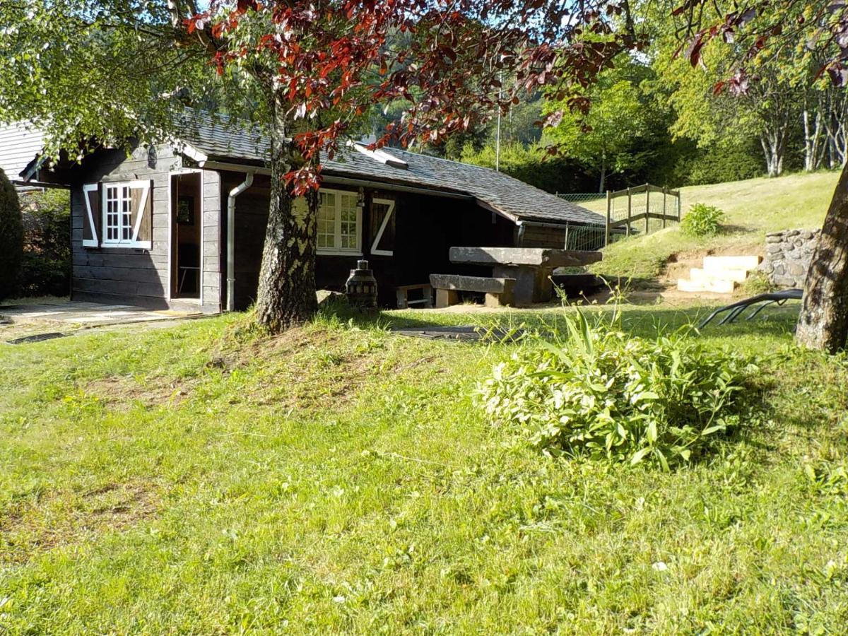 Chalet Des Cascades Le Mont-Dore Luaran gambar