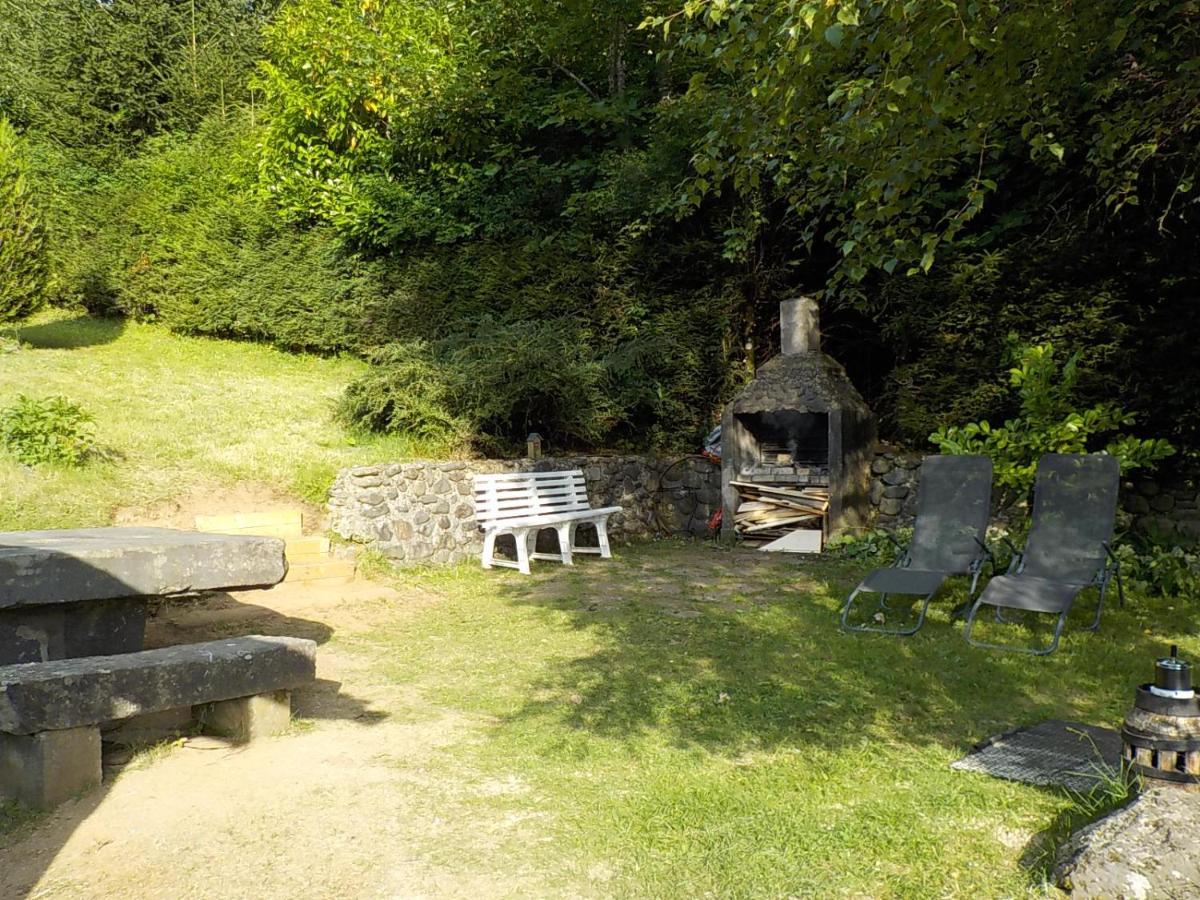 Chalet Des Cascades Le Mont-Dore Luaran gambar
