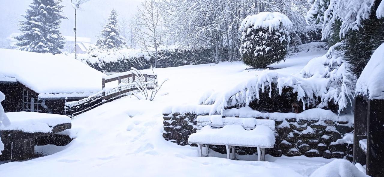Chalet Des Cascades Le Mont-Dore Luaran gambar