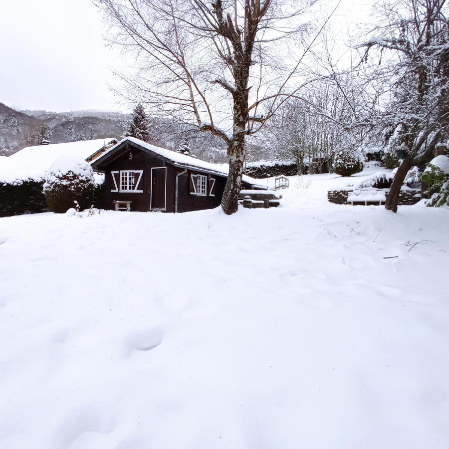 Chalet Des Cascades Le Mont-Dore Luaran gambar