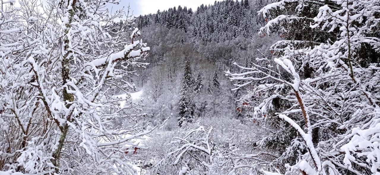 Chalet Des Cascades Le Mont-Dore Luaran gambar