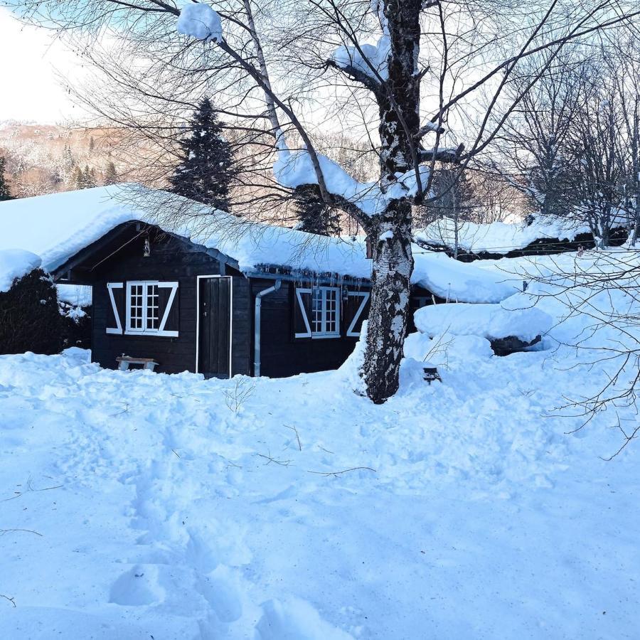 Chalet Des Cascades Le Mont-Dore Luaran gambar