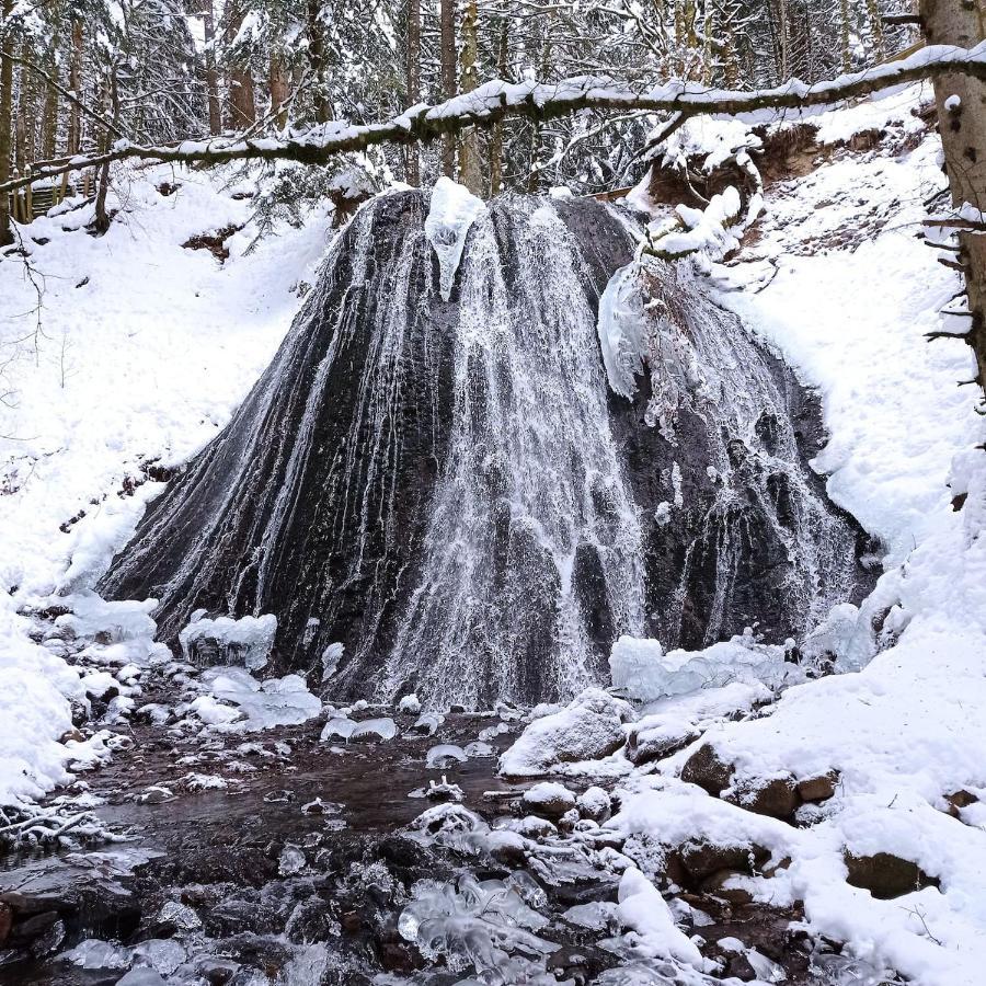 Chalet Des Cascades Le Mont-Dore Luaran gambar